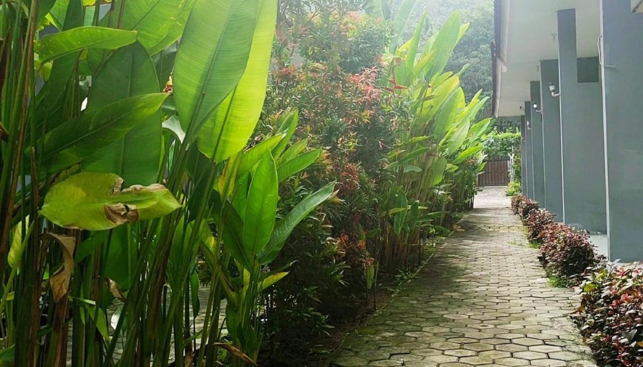 Oyo 2864 Mangsit Garden Homestay Esterno foto